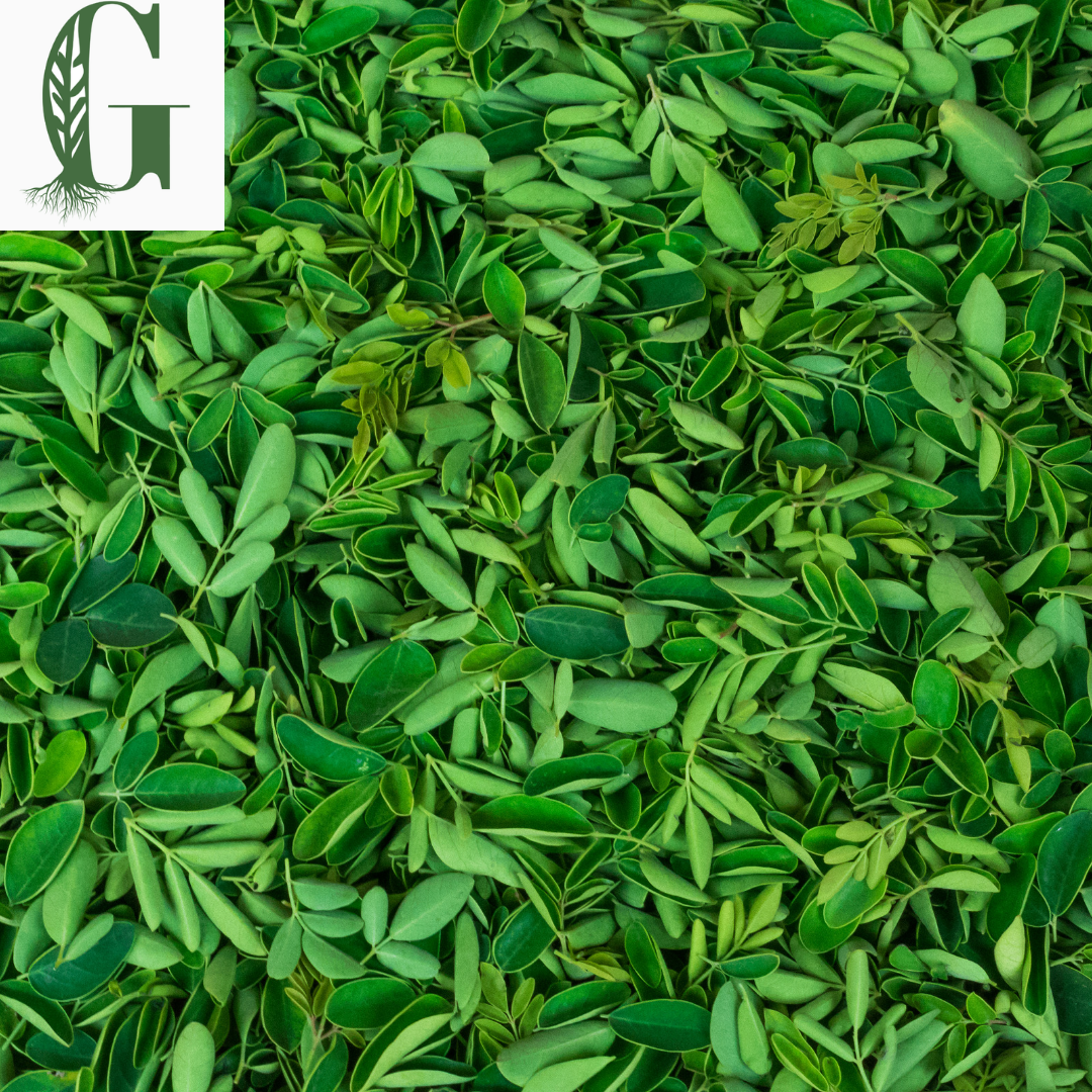 Moringa Leaves/Flowers 10oz