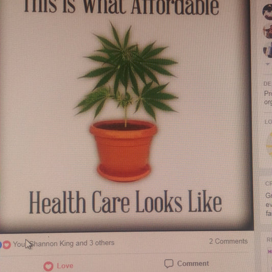 Moringa Talks Healthy!