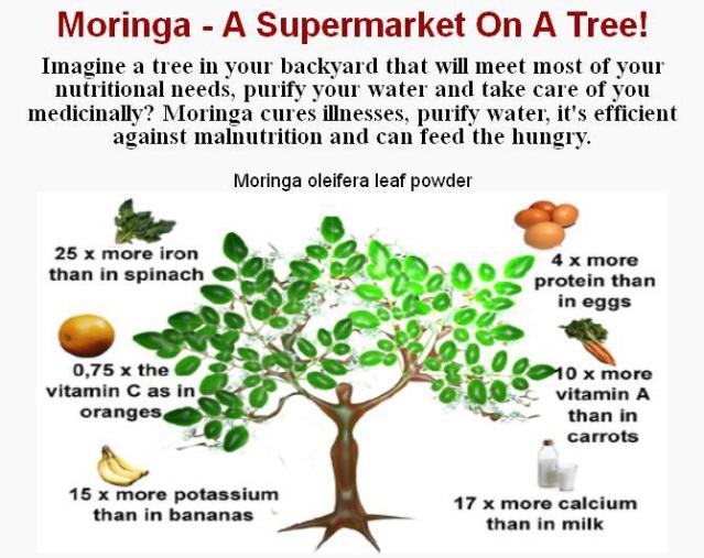 GreenwayzNaturals Moringa Vegetable Capsule