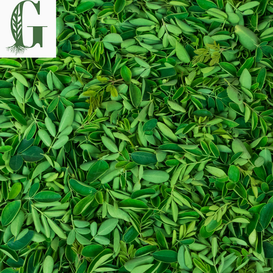 Moringa Leaves/Flowers 10oz