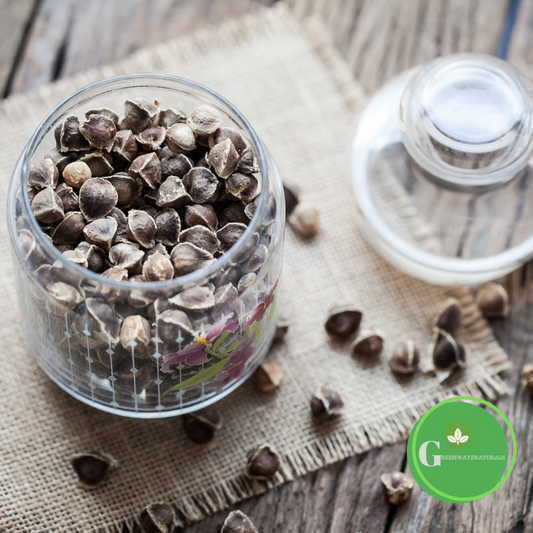 Moringa Seeds 10oz